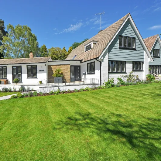 lush garden with colorful flowers